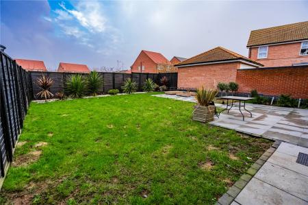 Garden (2)