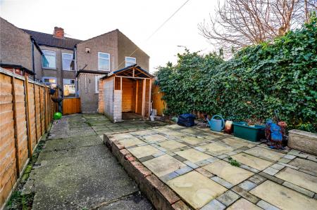 Garden (2)