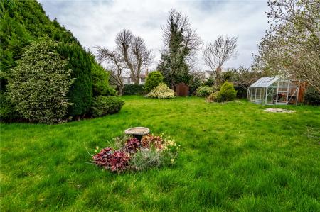 Garden (2)