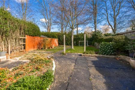Garden (2)
