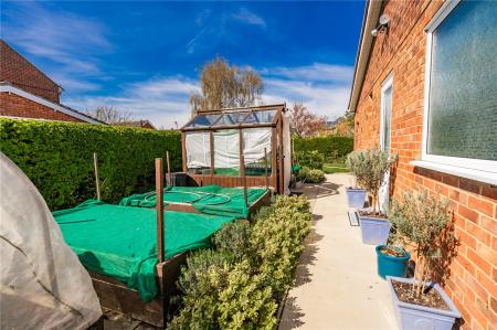 Garden (5)