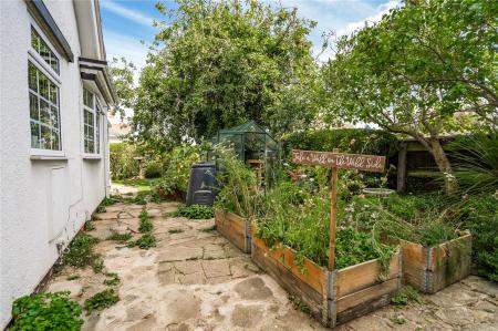 Garden (4)