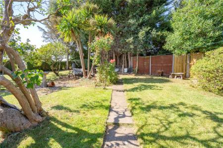Garden (4)