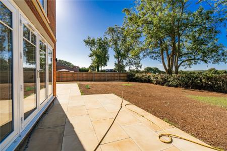 Garden (3)