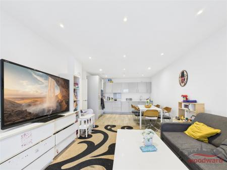 Kitchen/Living Area