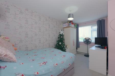 Media image 12