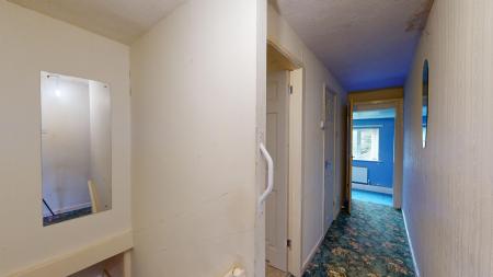 Media image 11