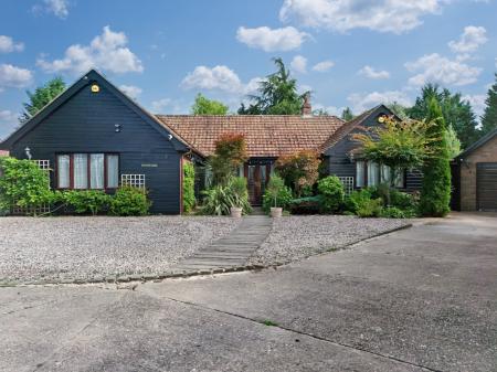 Media image 22
