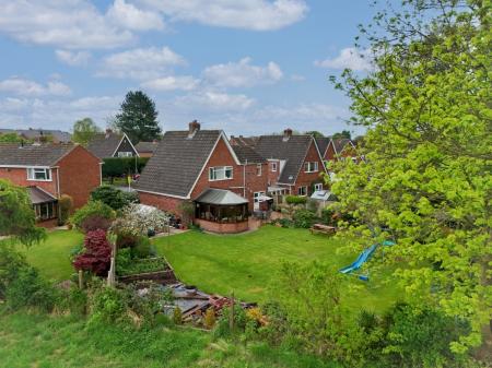 Media image 29