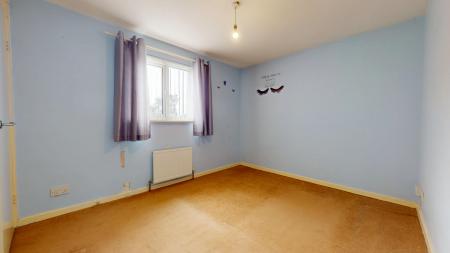 Media image 11