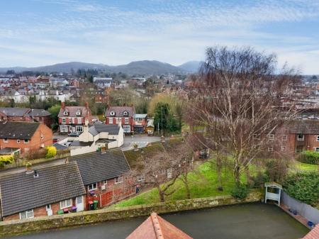 Media image 25