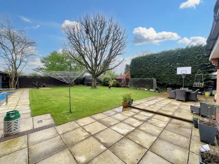 Media image 25