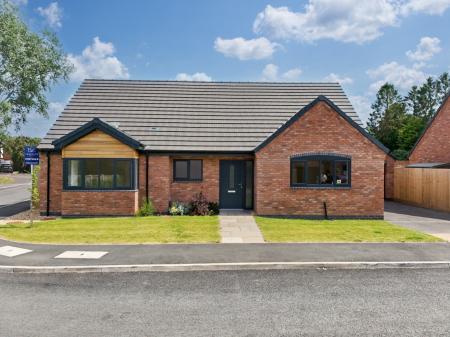 Media image 20