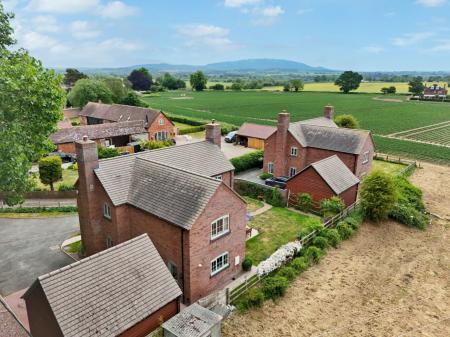 Media image 35