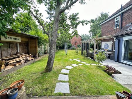 Media image 30