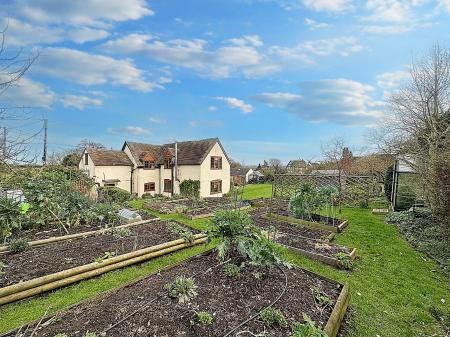 Media image 27