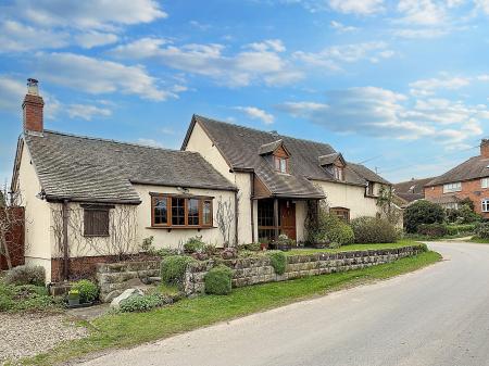 Media image 28