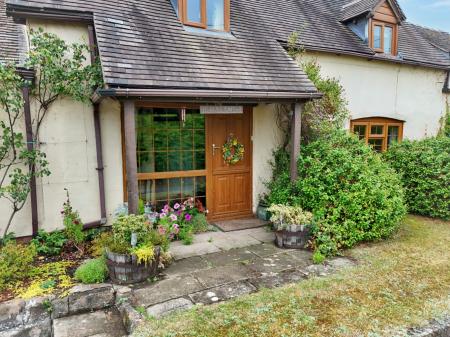 Media image 29