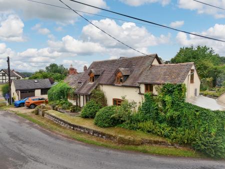 Media image 31