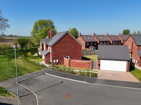 Media image 29