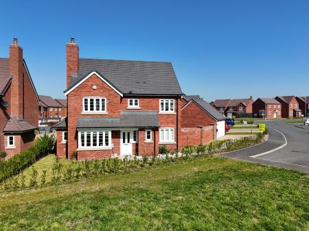 Media image 26
