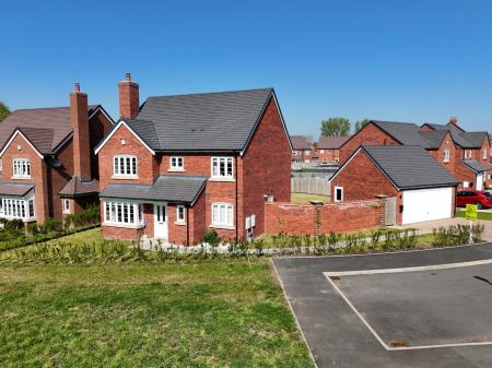 Media image 25