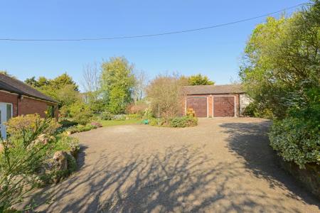 Media image 29
