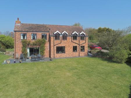 Media image 39