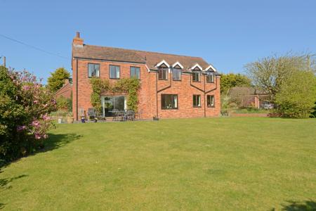 Media image 00