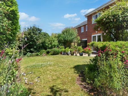 Media image 25