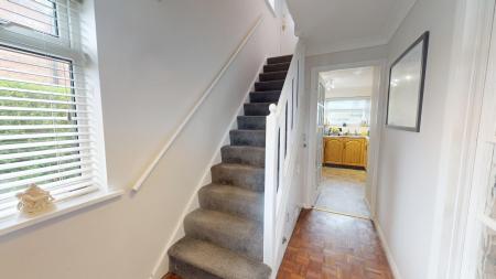 Media image 10