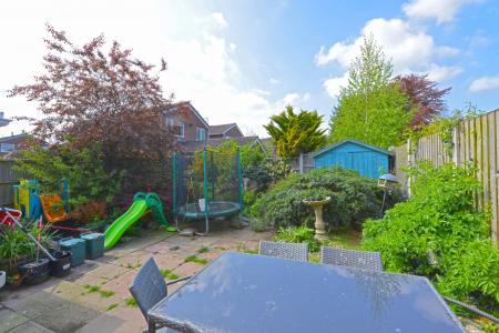 Media image 12