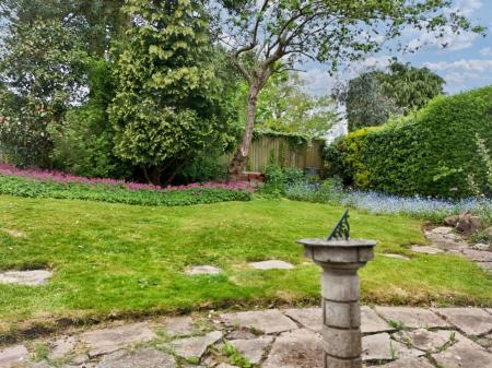 Media image 27