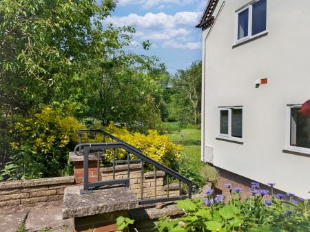 Media image 27