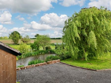 Media image 23