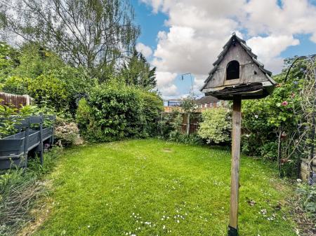 Media image 23