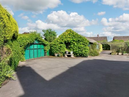 Media image 35