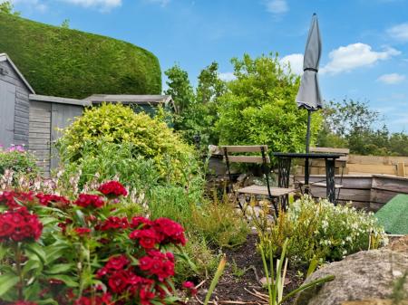 Media image 24