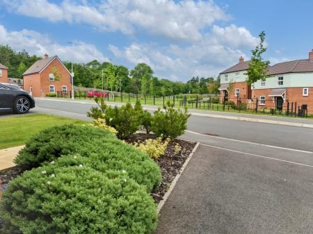 Media image 20