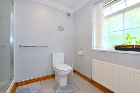 Media image 12