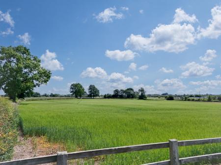 Media image 22