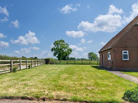 Media image 17