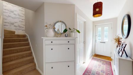 Media image 11