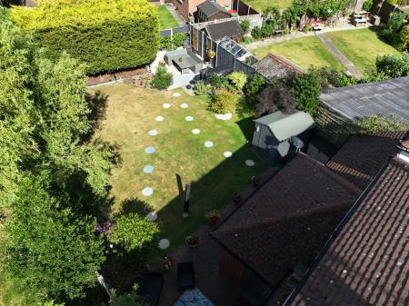 Media image 29
