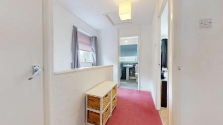 Media image 15