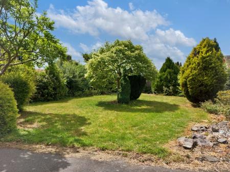Media image 21