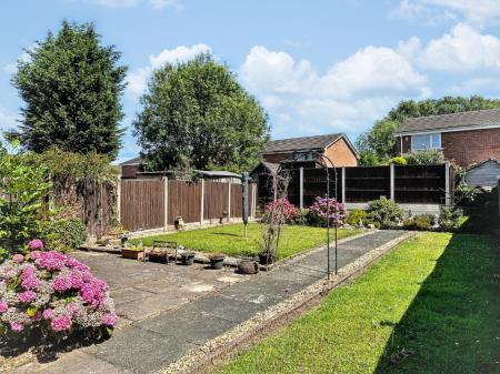 Media image 16