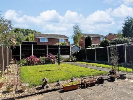 Media image 17