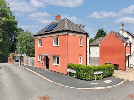 Media image 02