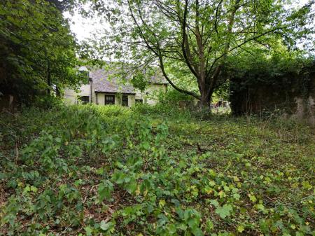 Media image 23